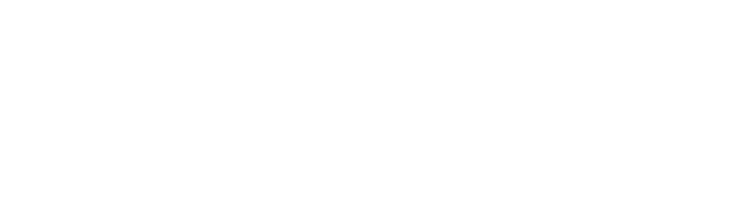 BETFLIX 2K-logo
